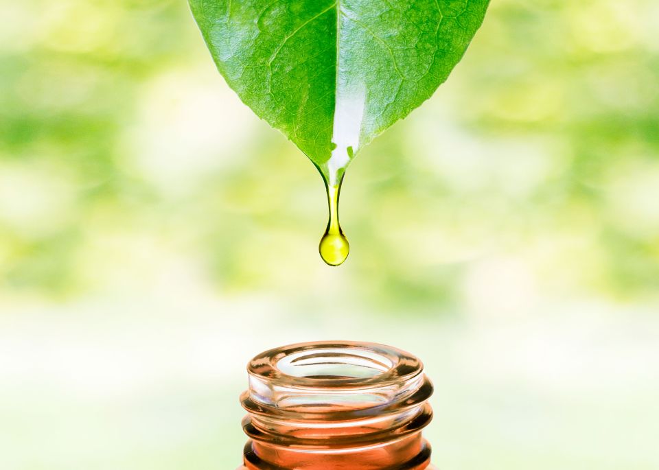 Acido ialuronico vegetale per il viso